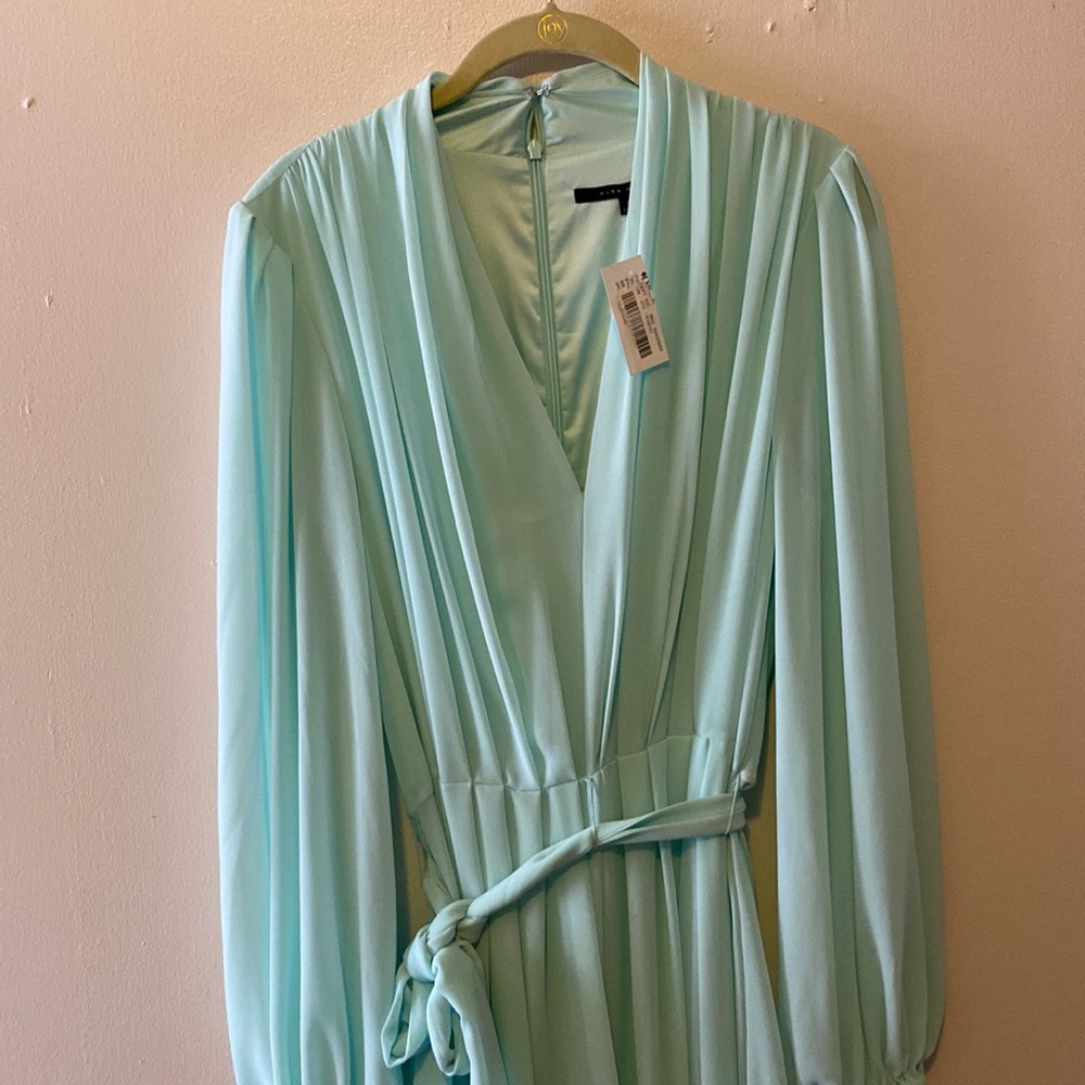 Alex Marie Hayden Tie Waist V-Neck Long Blouson Sleeve A-Line Chiffon Midi Dress